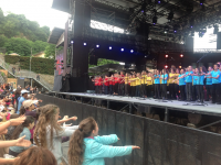 Festival : aujourd’hui, pour quinze jours, Vienne entre en Jazz