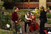 Festival Jazz à cours et jardins à Lyon : c’est parti !