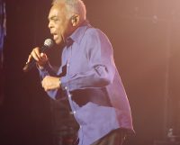 Le Brésil dans tous ses états à Jazz à Vienne !