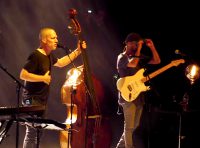 Jazz à Vienne-Avishai Cohen : retour aux sources