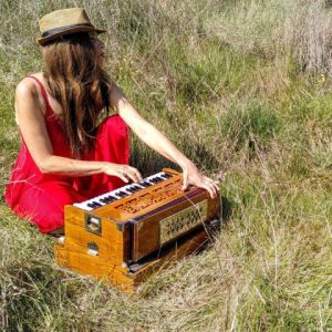 Agenda Jazz à Lyon du 13 au 19 juin :  De l’Imperial quartet à la viole de gambe