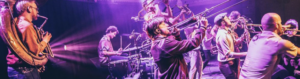 Festival : vraie cure de jouvence automnale, décollage cette semaine du Rhino Jazz avec… 41 concerts