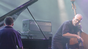 En compagnie d’un millier d’artistes israéliens : le contrebassiste Avishai Cohen signe un appel à cesser la guerre à Gaza
