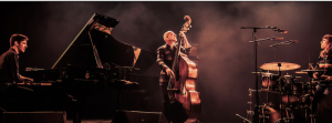 Du 25 septembre au 19 octobre. Le Rhino Jazz commence cette semaine à montrer le bout de sa corne. 1er concert jeudi avec la fanfare Sunbörn
